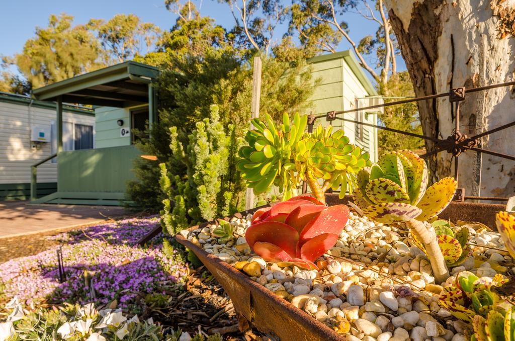 Lake Albert Caravan Park 호텔 매닌지 외부 사진